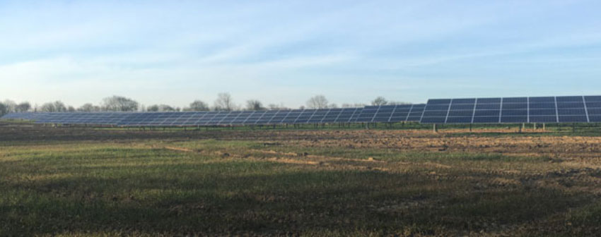 Cressing Solar Farm